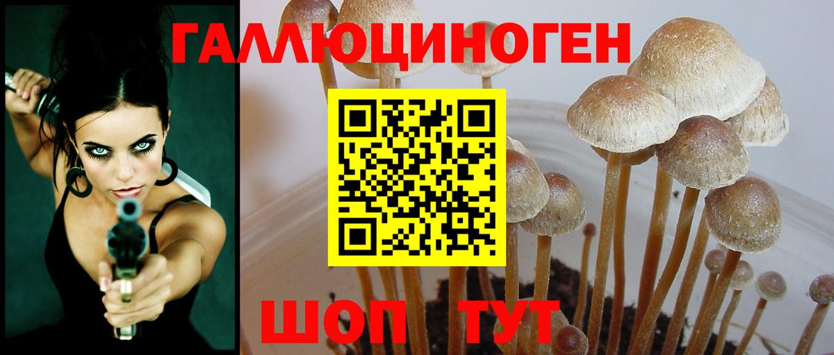 Псилоцибиновые грибы мухоморы Новозыбков