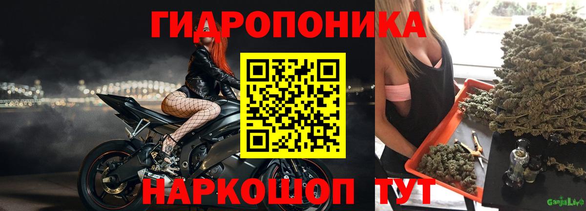 Каннабис THC 21% Новозыбков